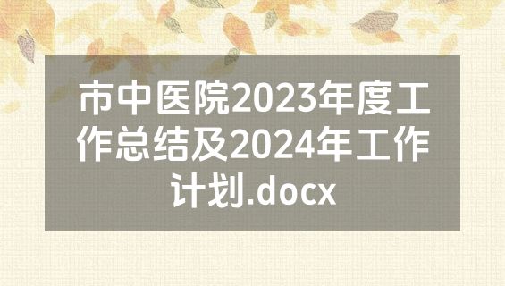 市中医院2023年度工作总结及2024年工作计划.docx