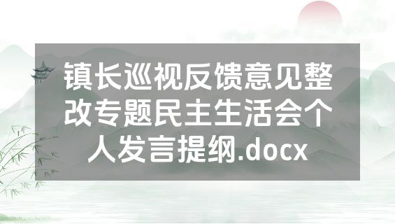 镇长巡视反馈意见整改专题民主生活会个人发言提纲.docx