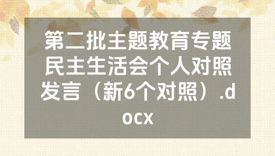 第二批主题教育专题民主生活会个人对照发言（新6个对照）.docx