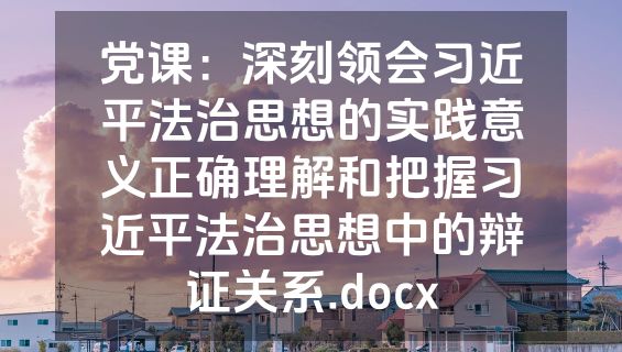 党课：深刻领会习近平法治思想的实践意义正确理解和把握习近平法治思想中的辩证关系.docx