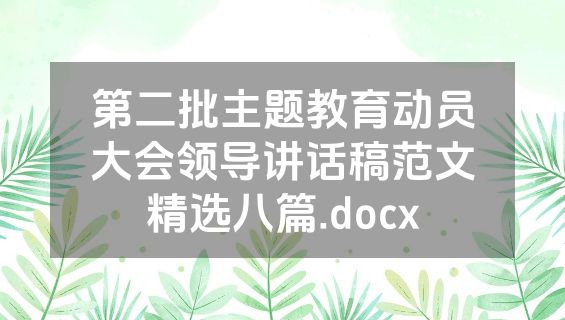 第二批主题教育动员大会领导讲话稿范文精选八篇.docx