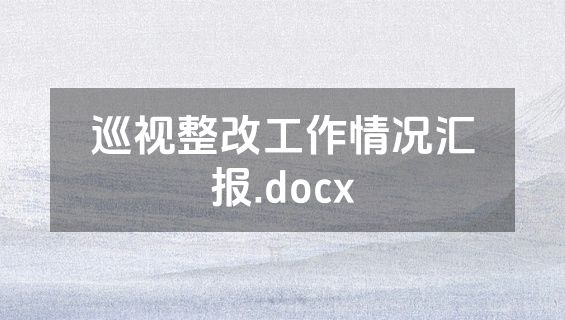 巡视整改工作情况汇报.docx