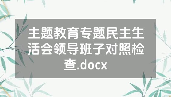 主题教育专题民主生活会领导班子对照检查.docx