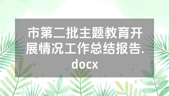 市第二批主题教育开展情况工作总结报告.docx