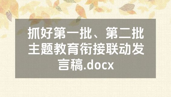 抓好第一批、第二批主题教育衔接联动发言稿.docx
