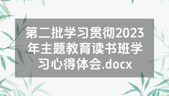 第二批学习贯彻2023年主题教育读书班学习心得体会.docx