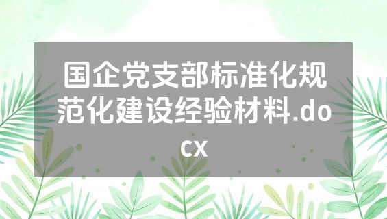 国企党支部标准化规范化建设经验材料.docx