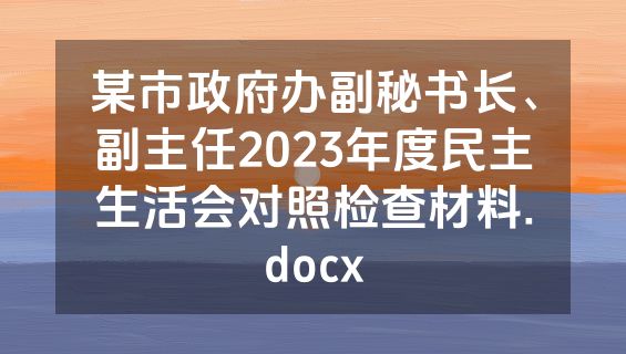 某市政府办副秘书长、副主任2023年度民主生活会对照检查材料.docx