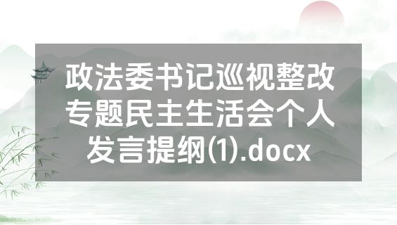 政法委书记巡视整改专题民主生活会个人发言提纲(1).docx