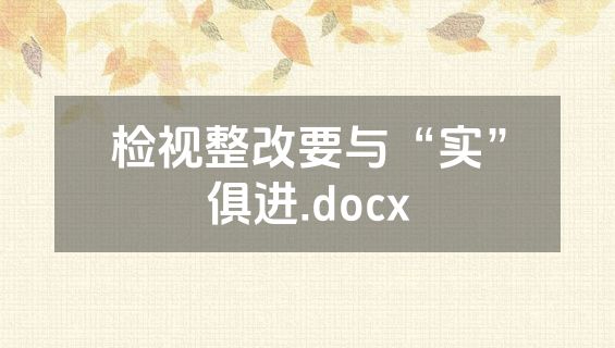 检视整改要与“实”俱进.docx