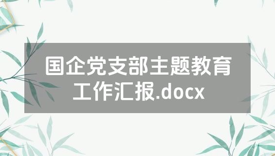 国企党支部主题教育工作汇报.docx