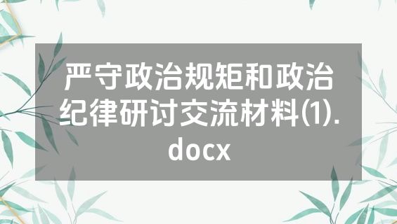 严守政治规矩和政治纪律研讨交流材料(1).docx