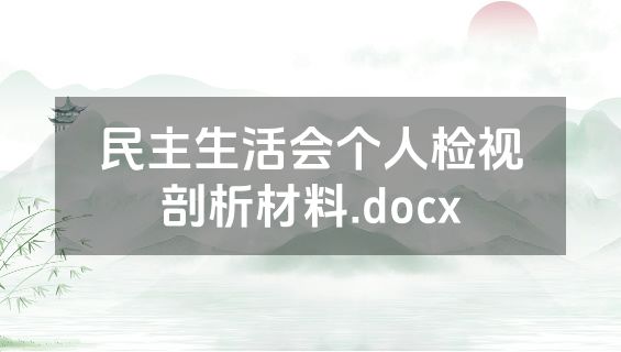 民主生活会个人检视剖析材料.docx
