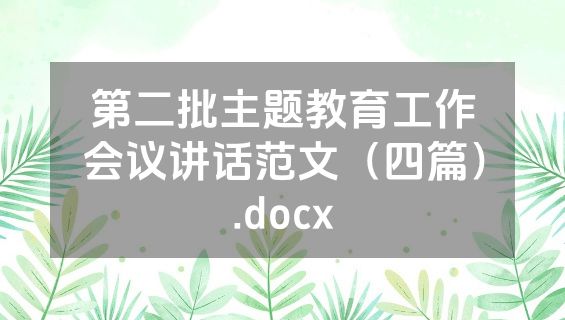 第二批主题教育工作会议讲话范文（四篇）.docx