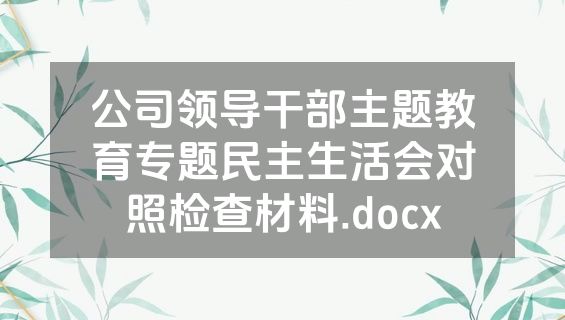 公司领导干部主题教育专题民主生活会对照检查材料.docx