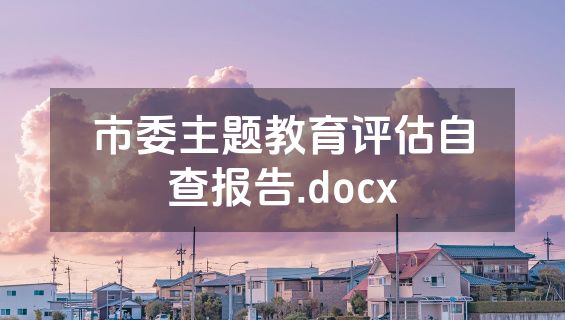 市委主题教育评估自查报告.docx