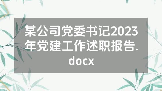 某公司党委书记2023年党建工作述职报告.docx