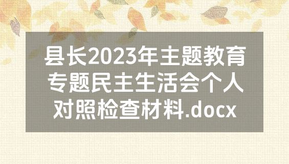 县长2023年主题教育专题民主生活会个人对照检查材料.docx