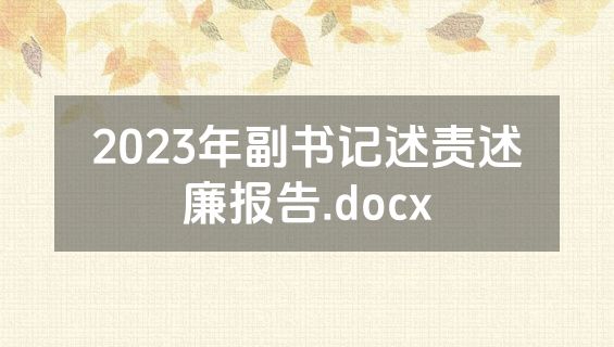 2023年副书记述责述廉报告.docx