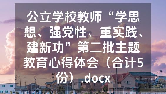公立学校教师“学思想、强党性、重实践、建新功”第二批主题教育心得体会（合计5份）.docx