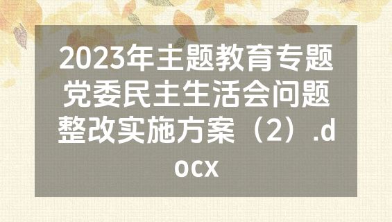 2023年主题教育专题党委民主生活会问题整改实施方案（2）.docx