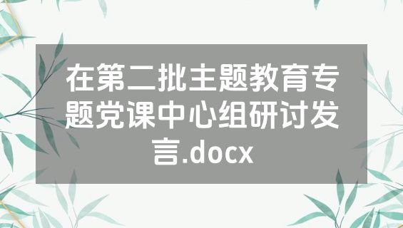 在第二批主题教育专题党课中心组研讨发言.docx
