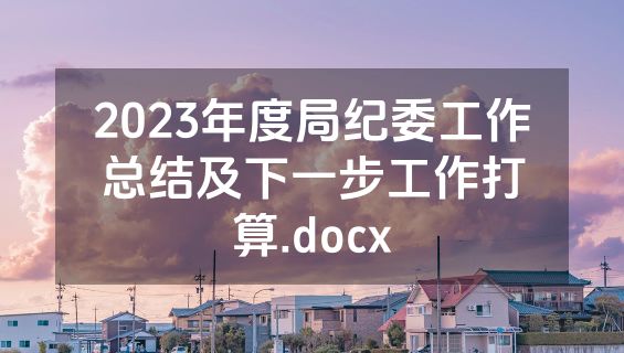 2023年度局纪委工作总结及下一步工作打算.docx