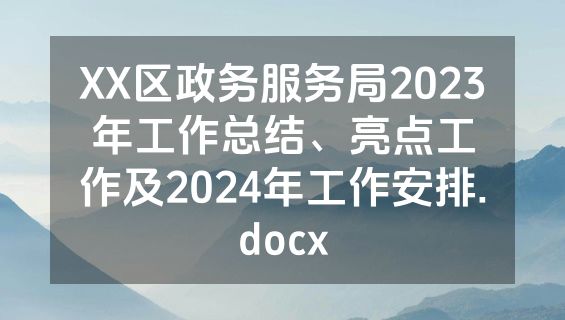 XX区政务服务局2023年工作总结、亮点工作及2024年工作安排.docx