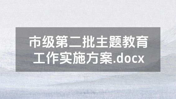 市级第二批主题教育工作实施方案.docx