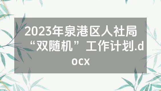 2023年泉港区人社局“双随机”工作计划.docx