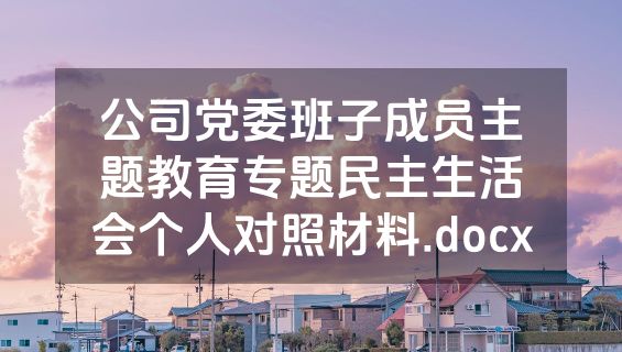 公司党委班子成员主题教育专题民主生活会个人对照材料.docx