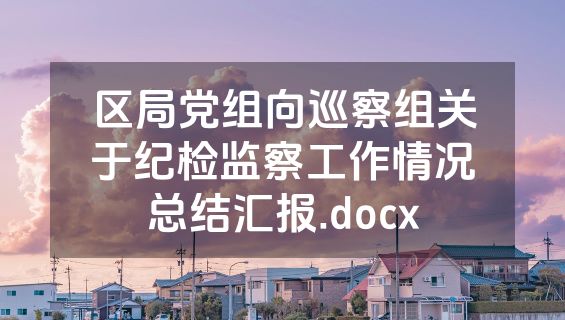 区局党组向巡察组关于纪检监察工作情况总结汇报.docx