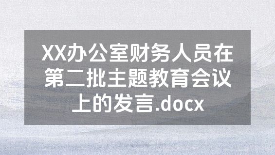 XX办公室财务人员在第二批主题教育会议上的发言.docx