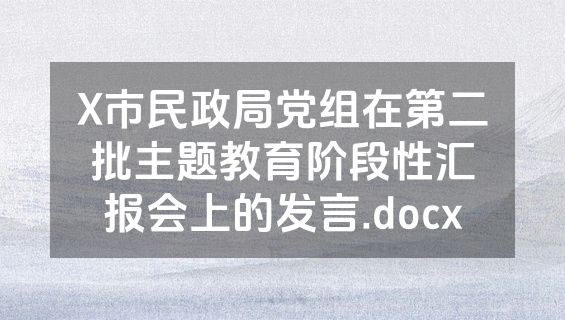 X市民政局党组在第二批主题教育阶段性汇报会上的发言.docx