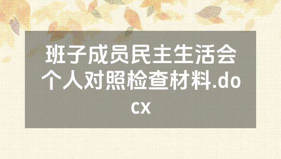 班子成员民主生活会个人对照检查材料.docx