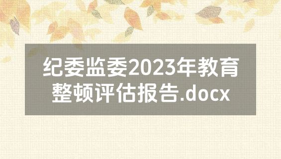 纪委监委2023年教育整顿评估报告.docx