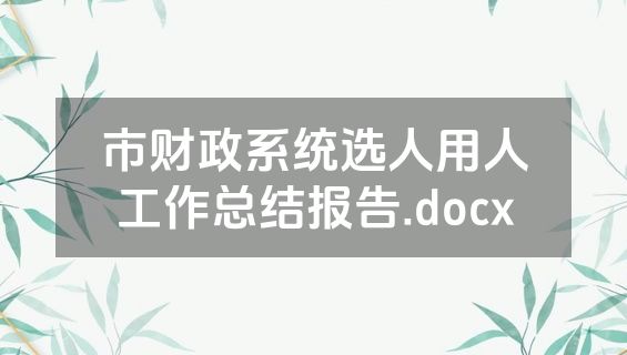 市财政系统选人用人工作总结报告.docx