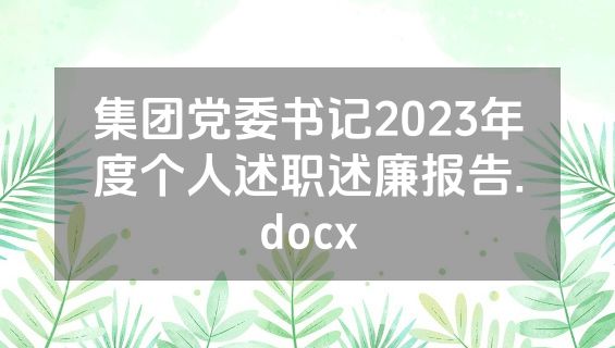 集团党委书记2023年度个人述职述廉报告.docx