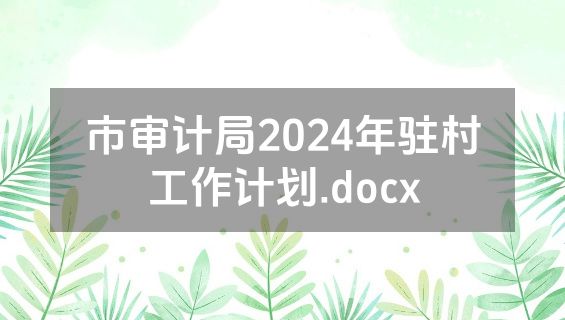 市审计局2024年驻村工作计划.docx