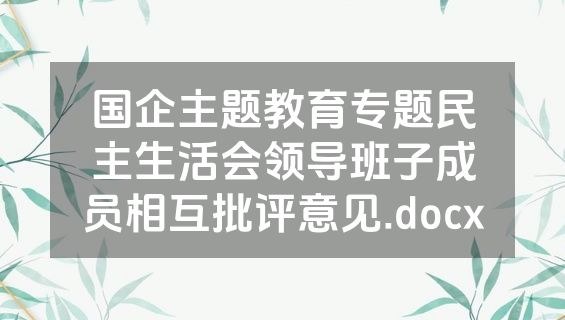 国企主题教育专题民主生活会领导班子成员相互批评意见.docx
