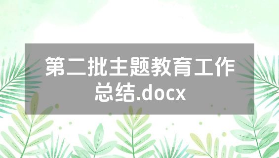 第二批主题教育工作总结.docx