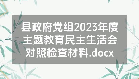 县政府党组2023年度主题教育民主生活会对照检查材料.docx