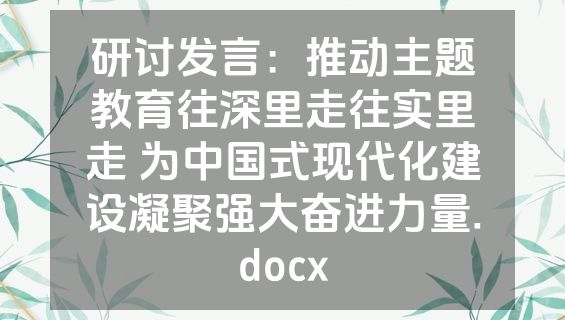 研讨发言：推动主题教育往深里走往实里走 为中国式现代化建设凝聚强大奋进力量.docx