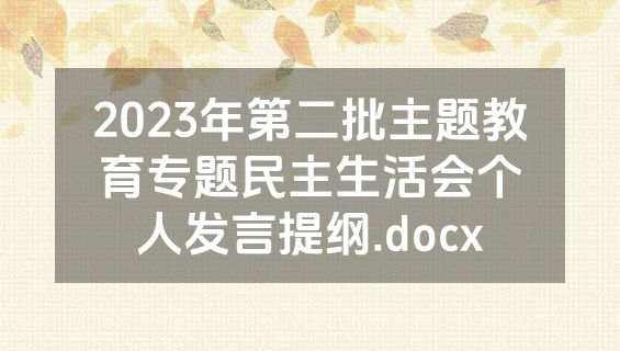 2023年第二批主题教育专题民主生活会个人发言提纲.docx