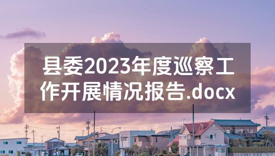 县委2023年度巡察工作开展情况报告.docx