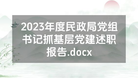 2023年度民政局党组书记抓基层党建述职报告.docx