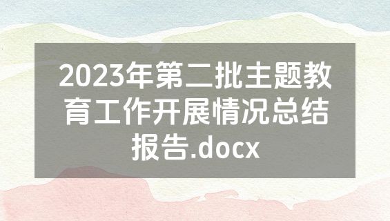 2023年第二批主题教育工作开展情况总结报告.docx