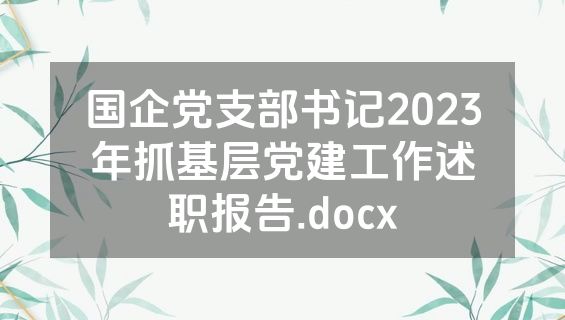 国企党支部书记2023年抓基层党建工作述职报告.docx