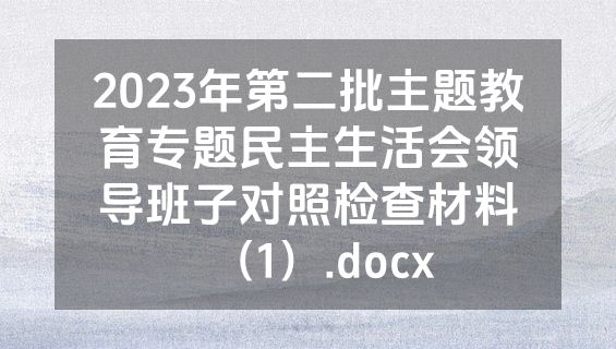 2023年第二批主题教育专题民主生活会领导班子对照检查材料（1）.docx