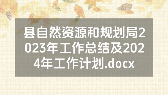 县自然资源和规划局2023年工作总结及2024年工作计划.docx